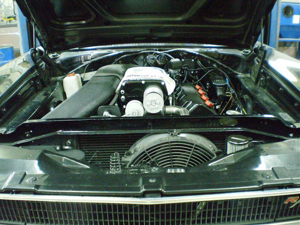 Name:  P6190029.jpg
Views: 92
Size:  165.6 KB