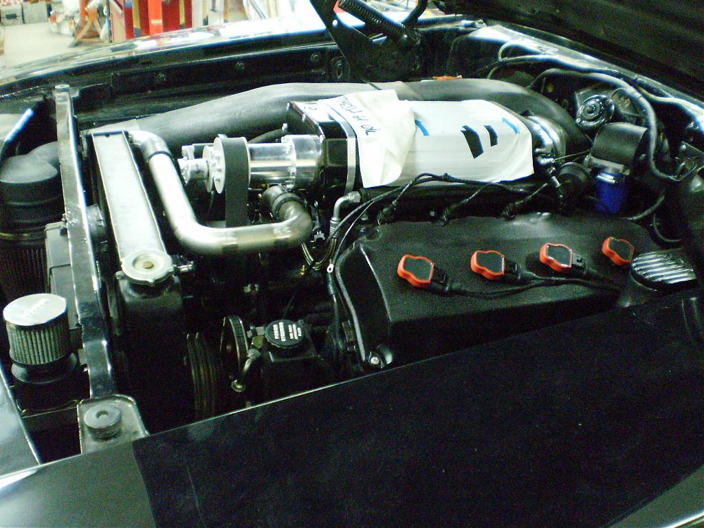 Name:  P6190032.jpg
Views: 101
Size:  145.9 KB