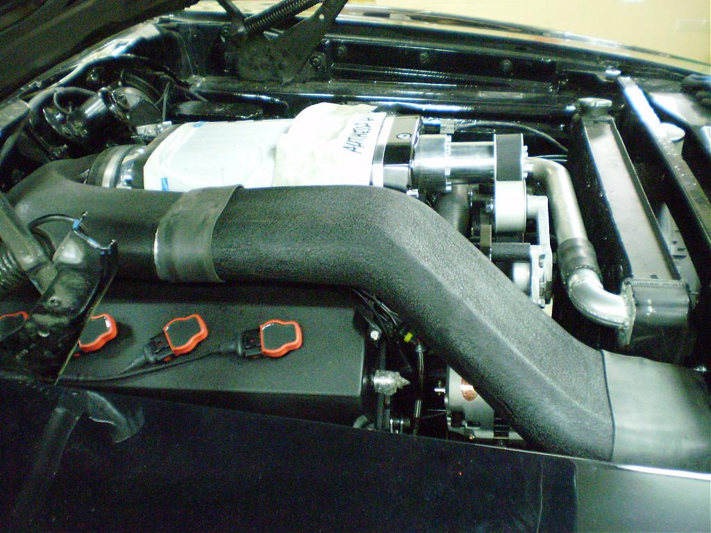 Name:  P6190043.jpg
Views: 85
Size:  139.2 KB