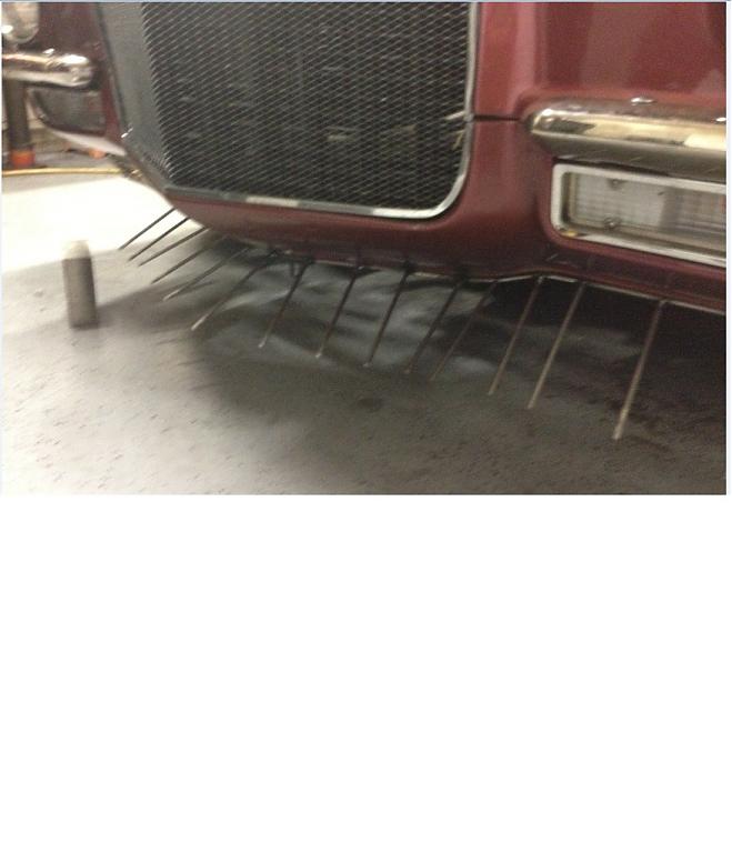 Name:  Spoiler reduced 18.jpg
Views: 94
Size:  42.4 KB