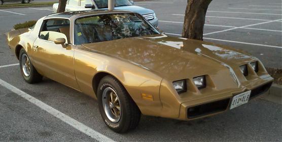 Name:  Firebird body.jpg
Views: 786
Size:  28.2 KB