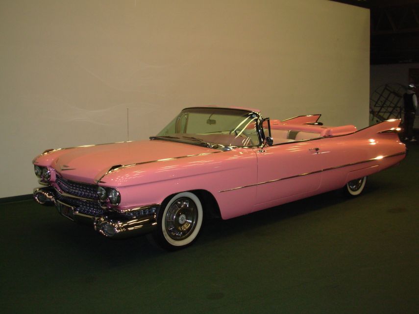 Name:  DSCN3918.jpg
Views: 205
Size:  77.4 KB