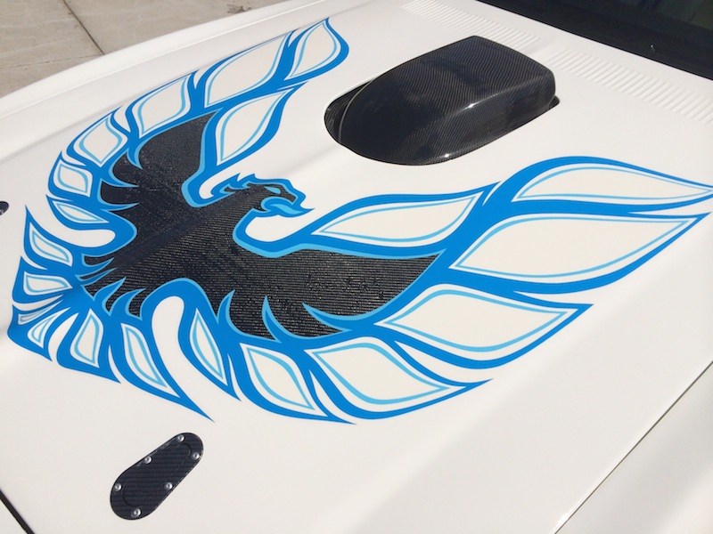 Name:  IMG_8446.JPG
Views: 341
Size:  177.3 KB