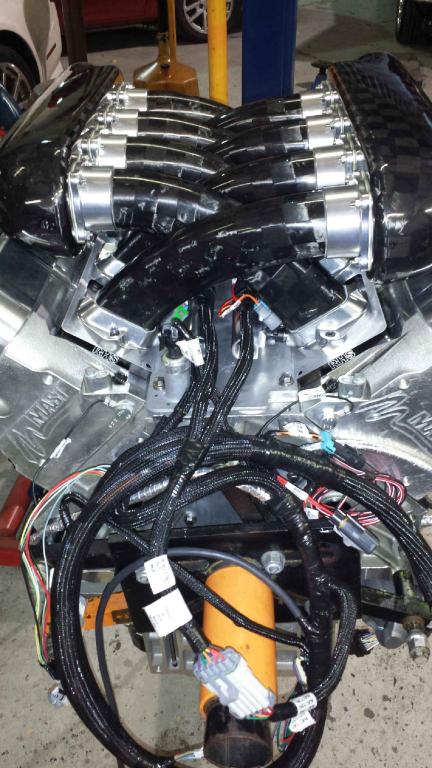 Name:  LS engine6.jpg
Views: 420
Size:  74.4 KB