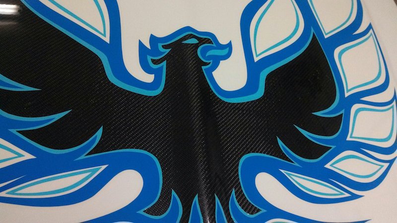 Name:  Carbon Fiber Bird.JPG
Views: 820
Size:  87.0 KB