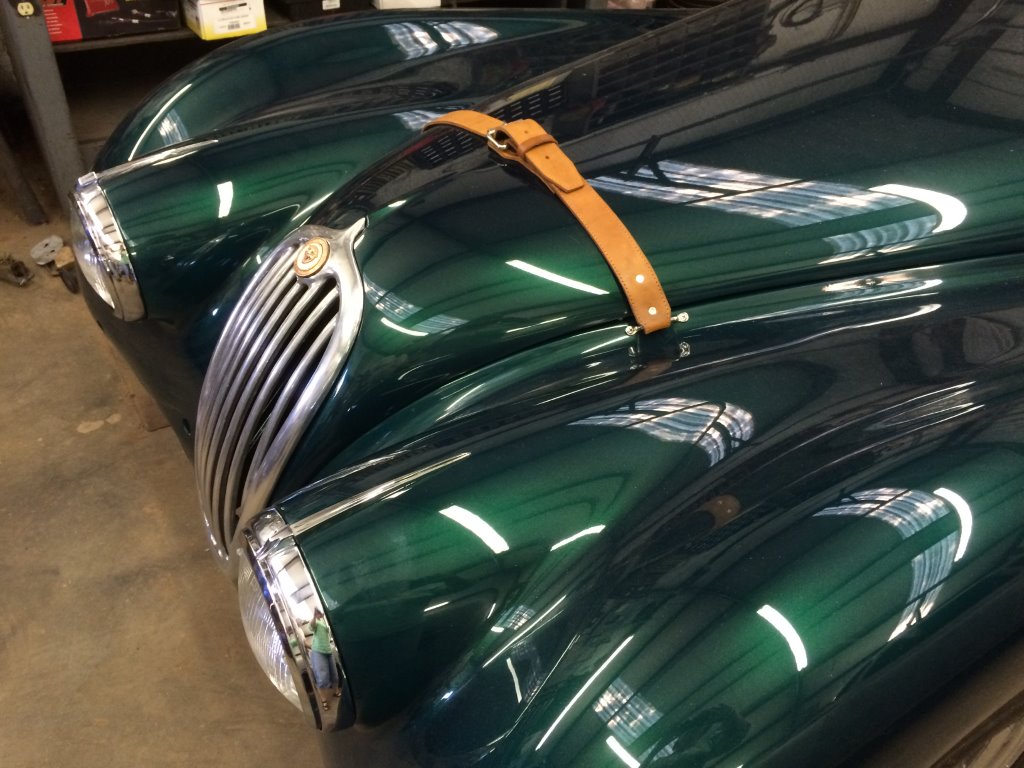 Name:  Jag front strap.jpg
Views: 453
Size:  138.7 KB