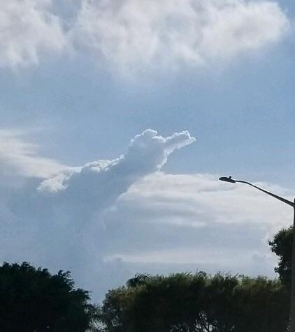 Name:  3g5qr17hepw01.jpg
Views: 380
Size:  15.7 KB